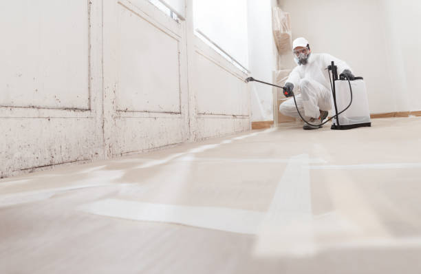 24/7 Emergency Mold Inspection experts in Erwin, NC