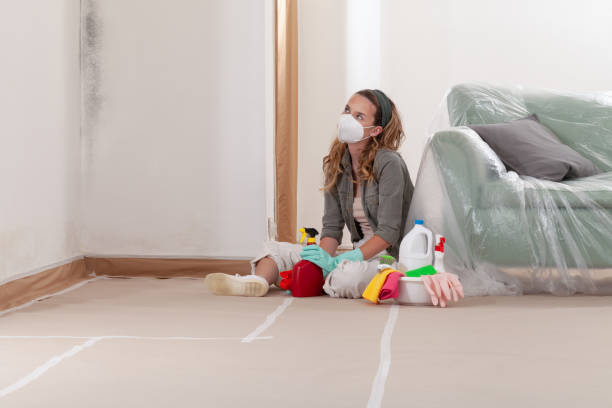 Trusted Attic Mold Removal service in Erwin, NC - Cheap Mold Removal